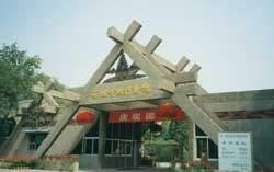 半坡文化遺址
