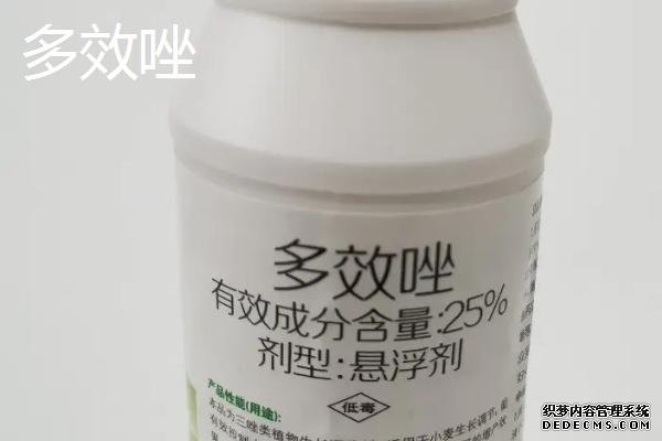 花生種植方法