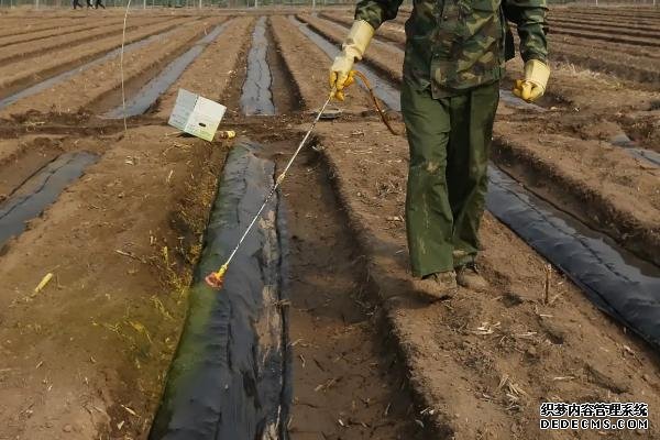 過量使用封閉除草劑的后果