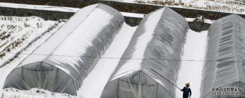 大棚被雪壓塌能不能頂起來