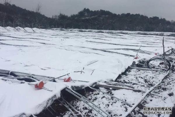 大棚被雪壓塌能不能頂起來